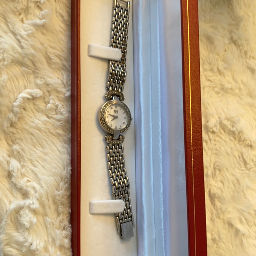 Esq Silver Watch